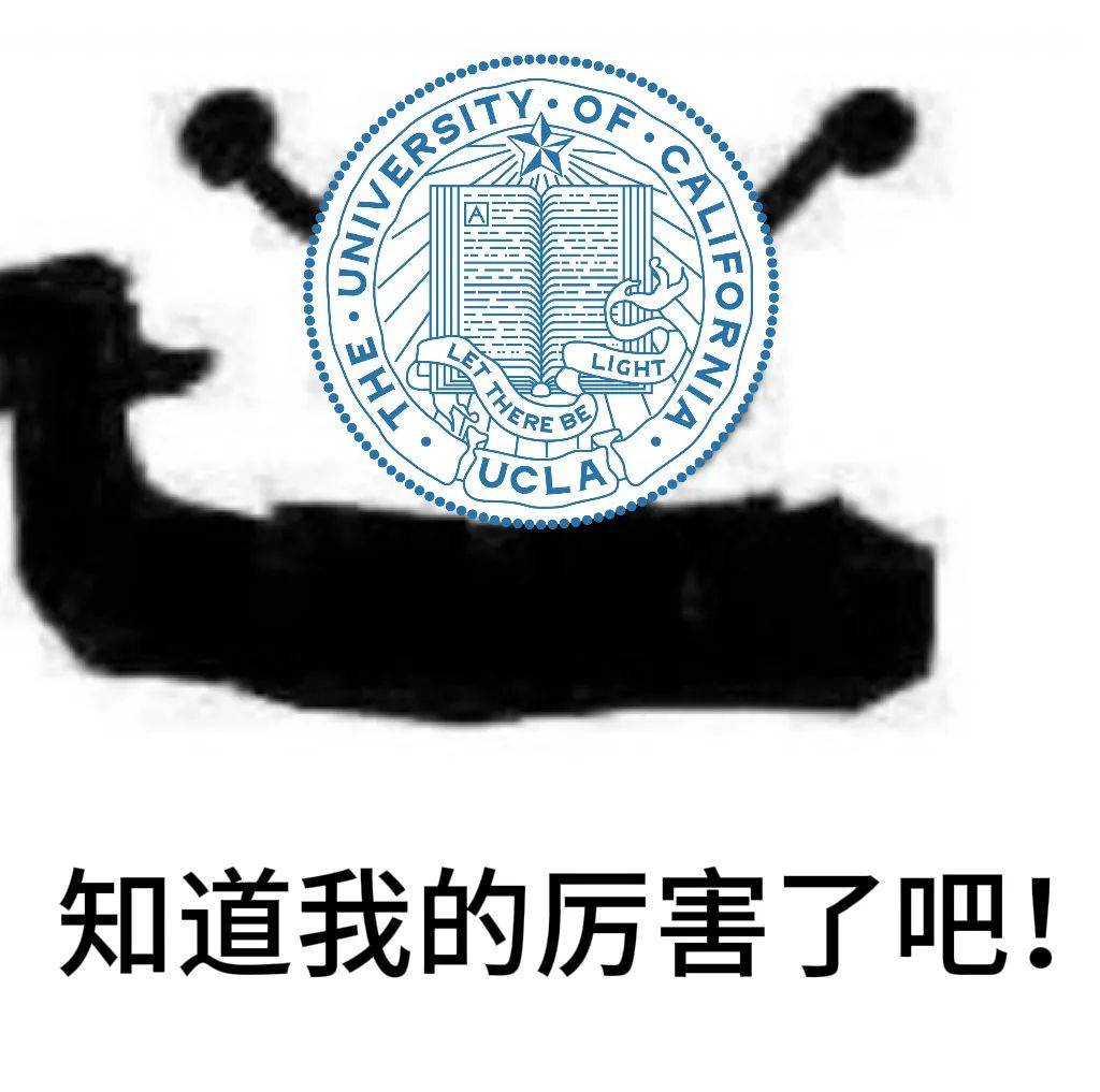 开云体育官方网站-包含蒙彼利埃逆转取胜，继续向法甲前十迈进的词条