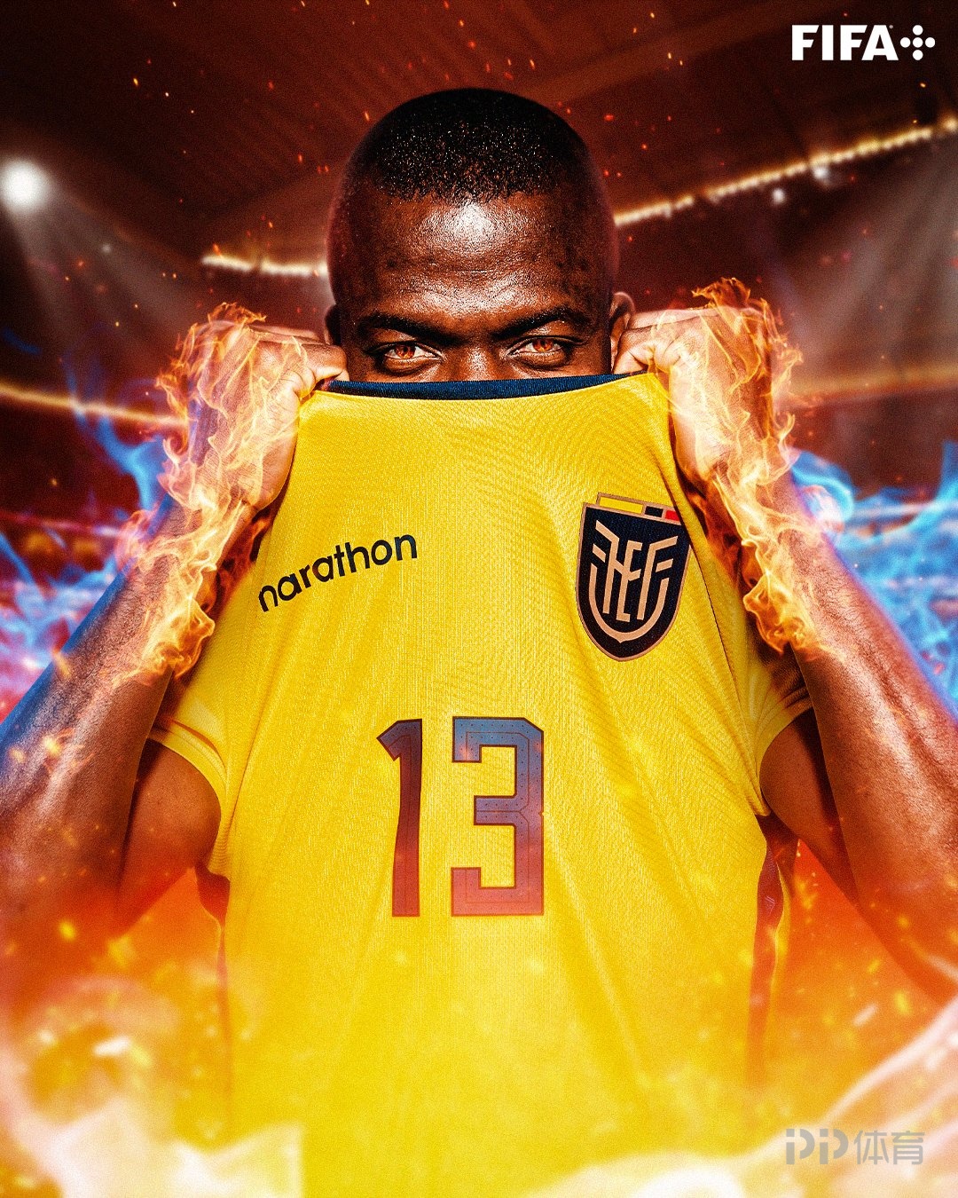 开云体育平台APP-南非队止步十六强，表现不俗